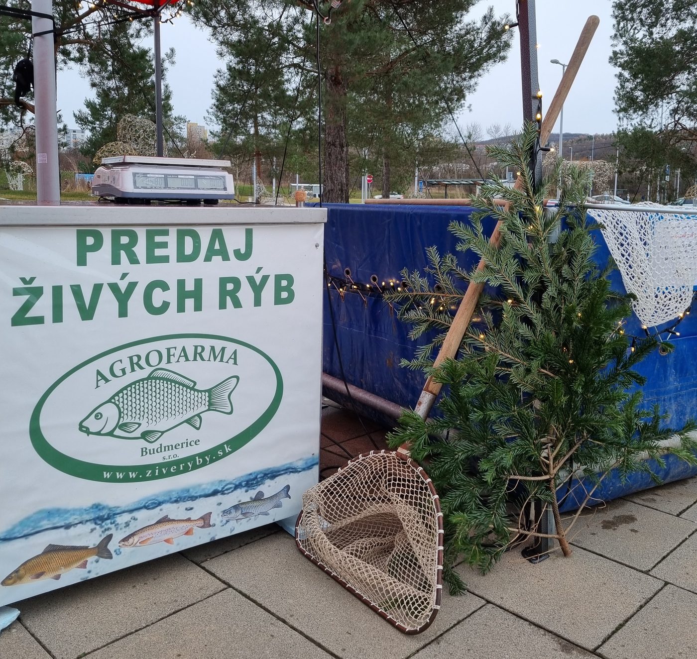 Stánok s predajom živých rýb pred Bory Mall